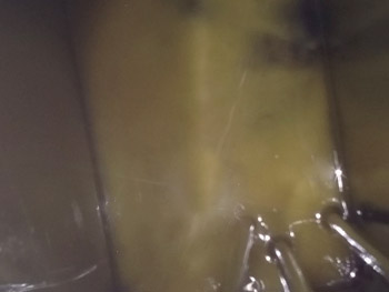 Biosludge before cleaning