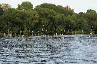 Ketzin. Fluss Havel. Fischerei. Holzstangen f?sen