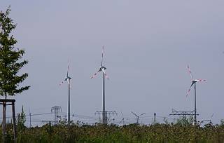 Windkraftanlagen. Stromerzeugung. Vom Havelkanal aus gesehen.