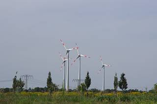 Windkraftanlagen. Stromerzeugung. Vom Havelkanal aus gesehen.