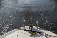 Motorboot-20110506-45.jpg