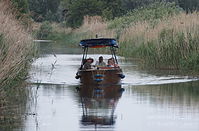 Motorboot-20110529-17.jpg