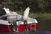 Motorboot-20121020-107.jpg