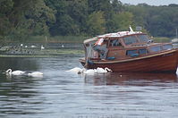 Motorboot-Verdraenger-20120829-160.jpg