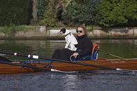 Ruderboot-20130928-255.jpg