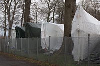 Berlin-Tegeler-See-Segelklub-Nixe-20111231-158.jpg