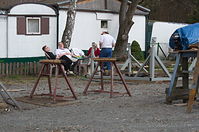 Berlin-Tegeler-See-Bootshaus-Saatwinkel-20120414-211.jpg