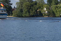 Wellen-20120901-070.jpg