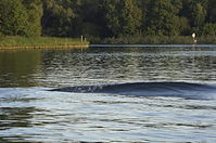 Wellen-20130907-221.jpg