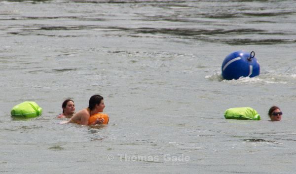 Rheinschwimmer in der Strömung