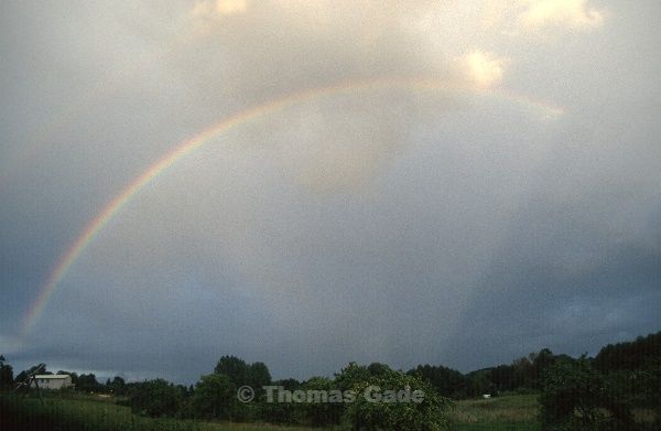 Nicht immer gerne gesehen: Der Regenbogen