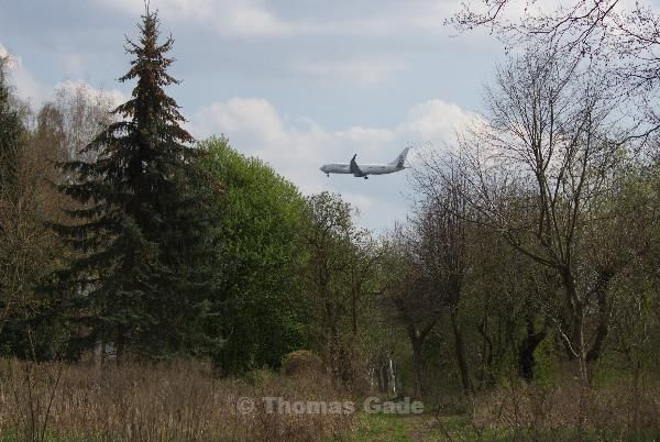 Flugzeug über Saatwinkel am Tegeler See