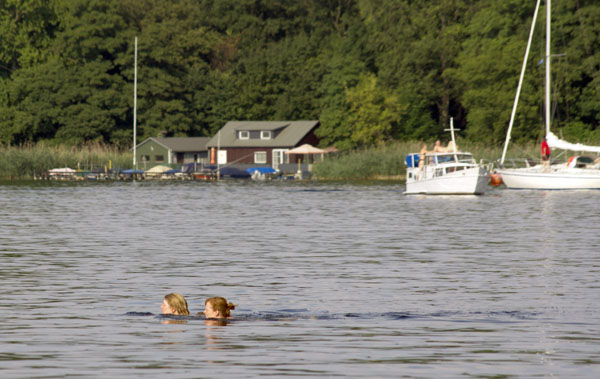 Zwei Schwimmerinnen beim Durchqueren des Tegeler Sees