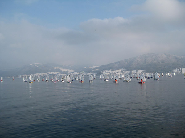 Eine Flotte Optmisten auf kaltem Wasser